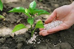 В Татарстане по урожай 2021 года накоплено более 45 кг д.в. минеральных удобрений на каждый гектар посевов